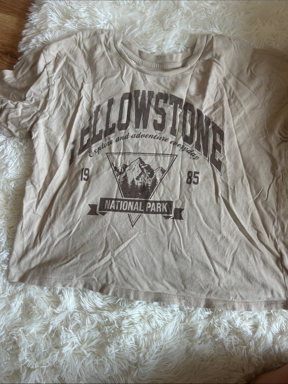 Rebellious One Beige Yellowstone Graphic Tee